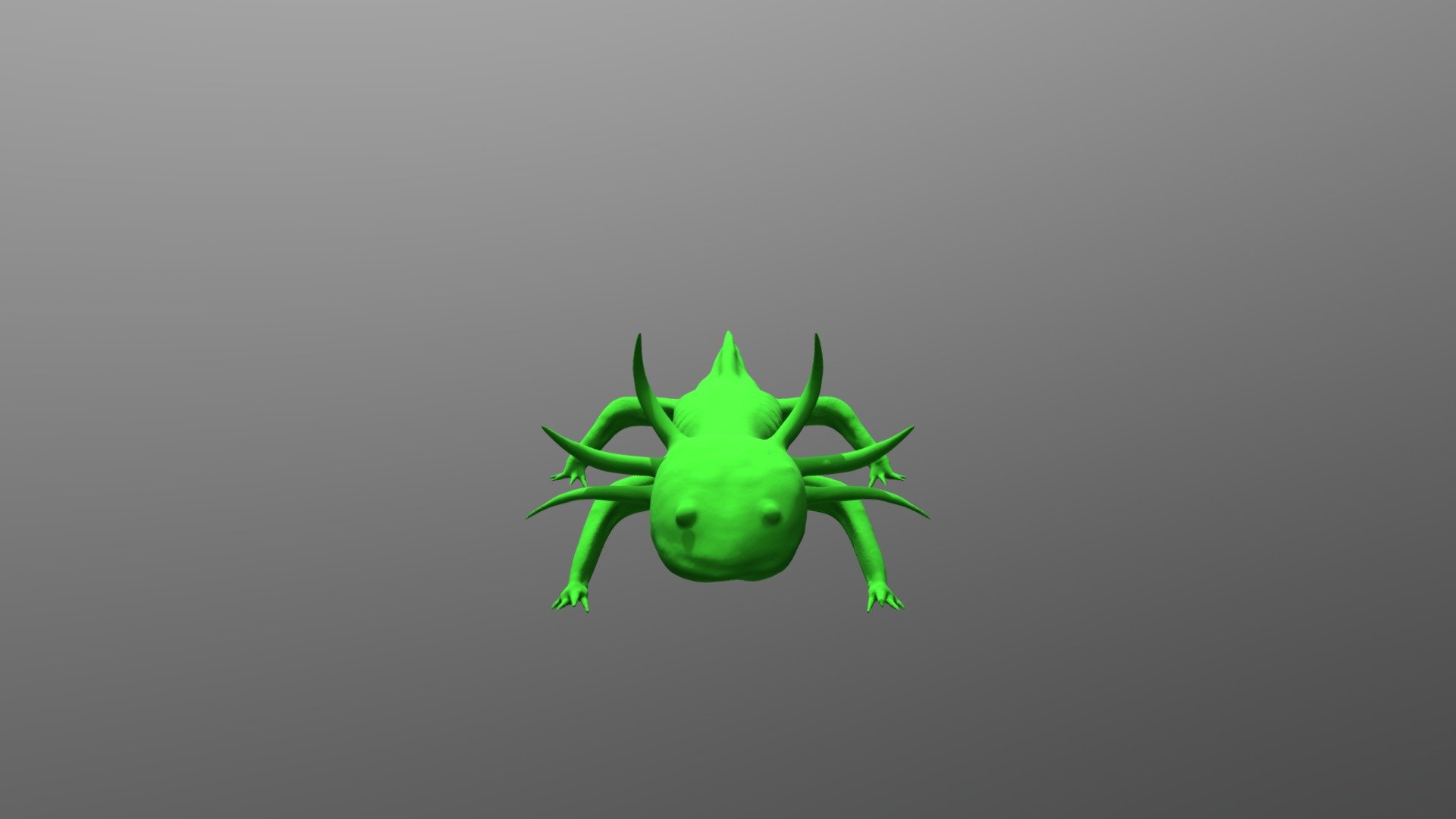 Axolotl