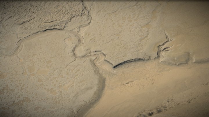 Tidal tree, seacoast, shore, mud flat – Gratis 3D-model STL
