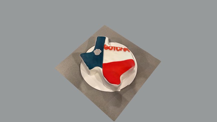 Leo’s gotcha day cake 3D Model