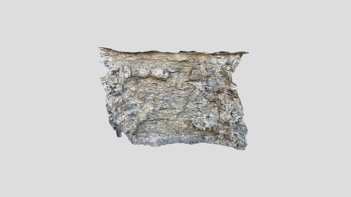 TSH8 - Debrite 3D Model