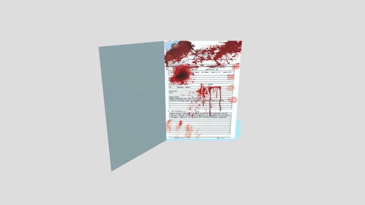 Patient Folder 3D Model