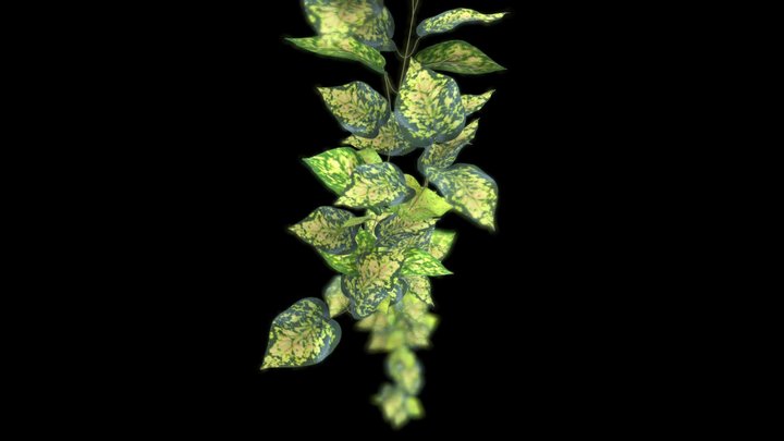 Artificial garland Potos colorful 3D Model