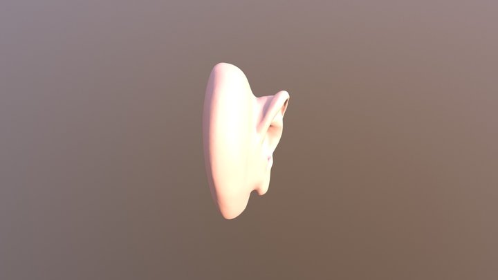The first attempt 3D Model