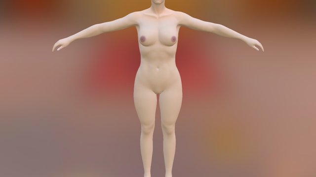 Female Anatomy 3D Model