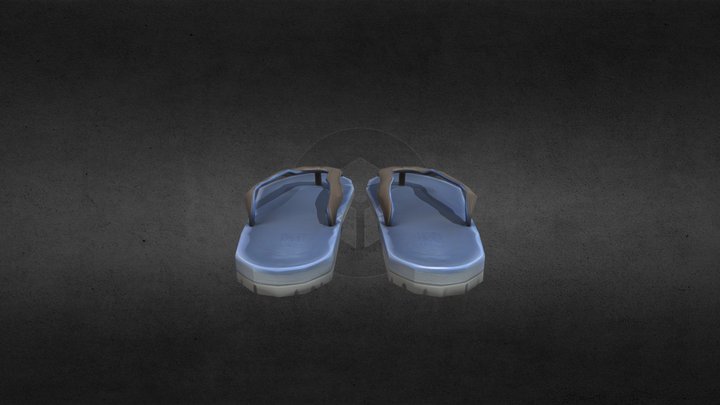 sliper 3D Model