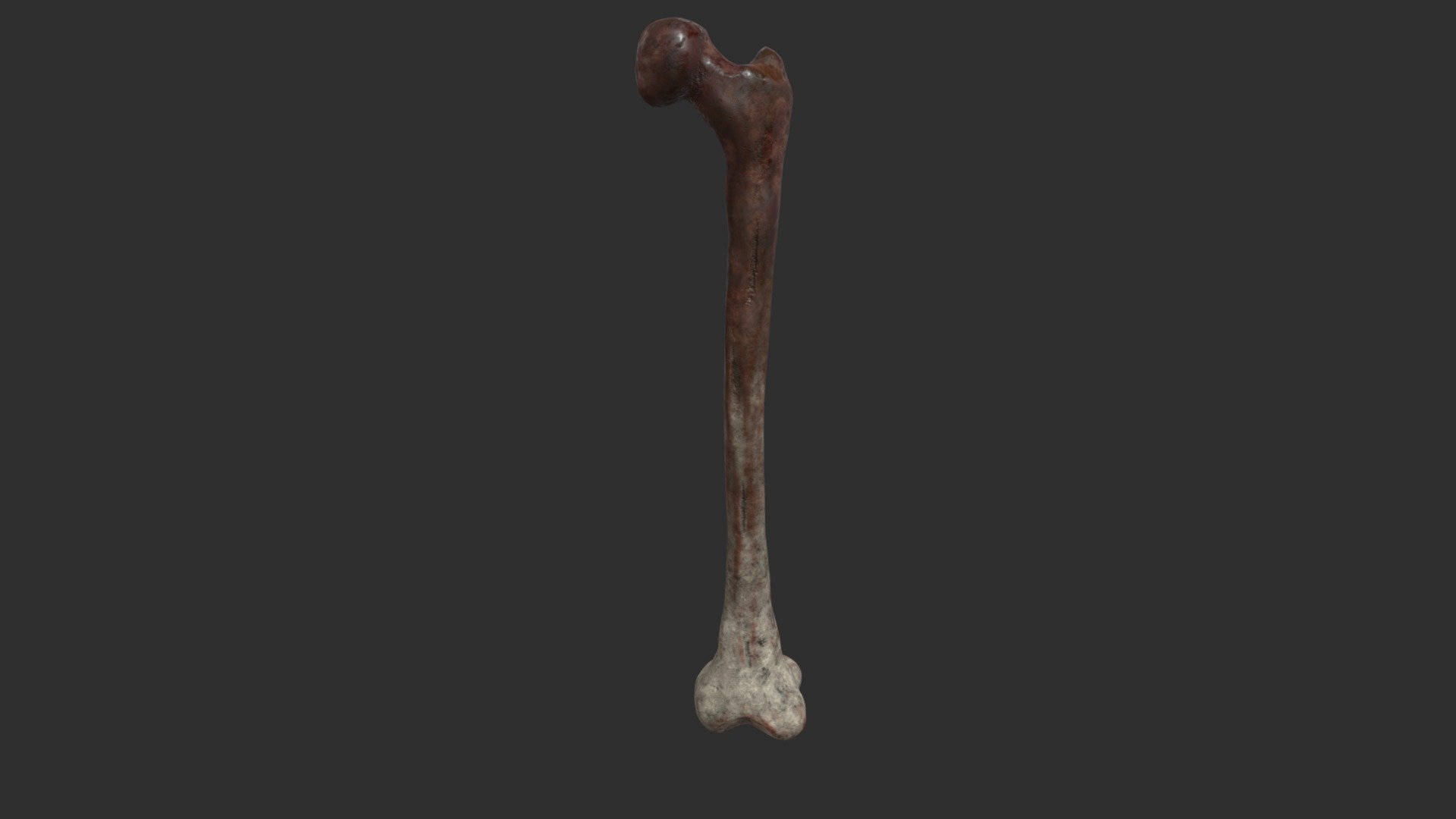 Femur