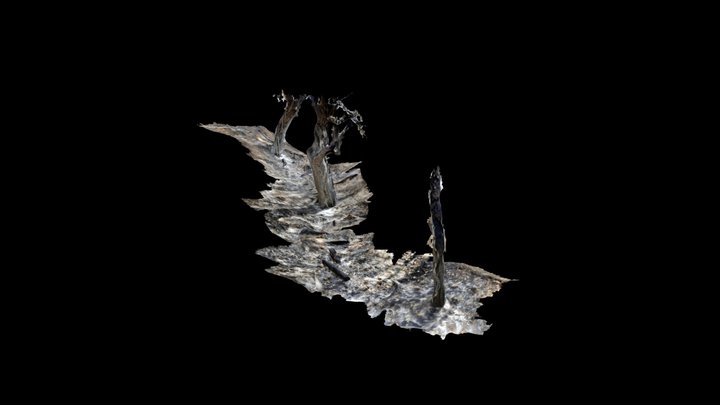Kres burnt 03 3D Model