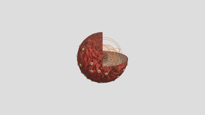 nucleus 3D Model
