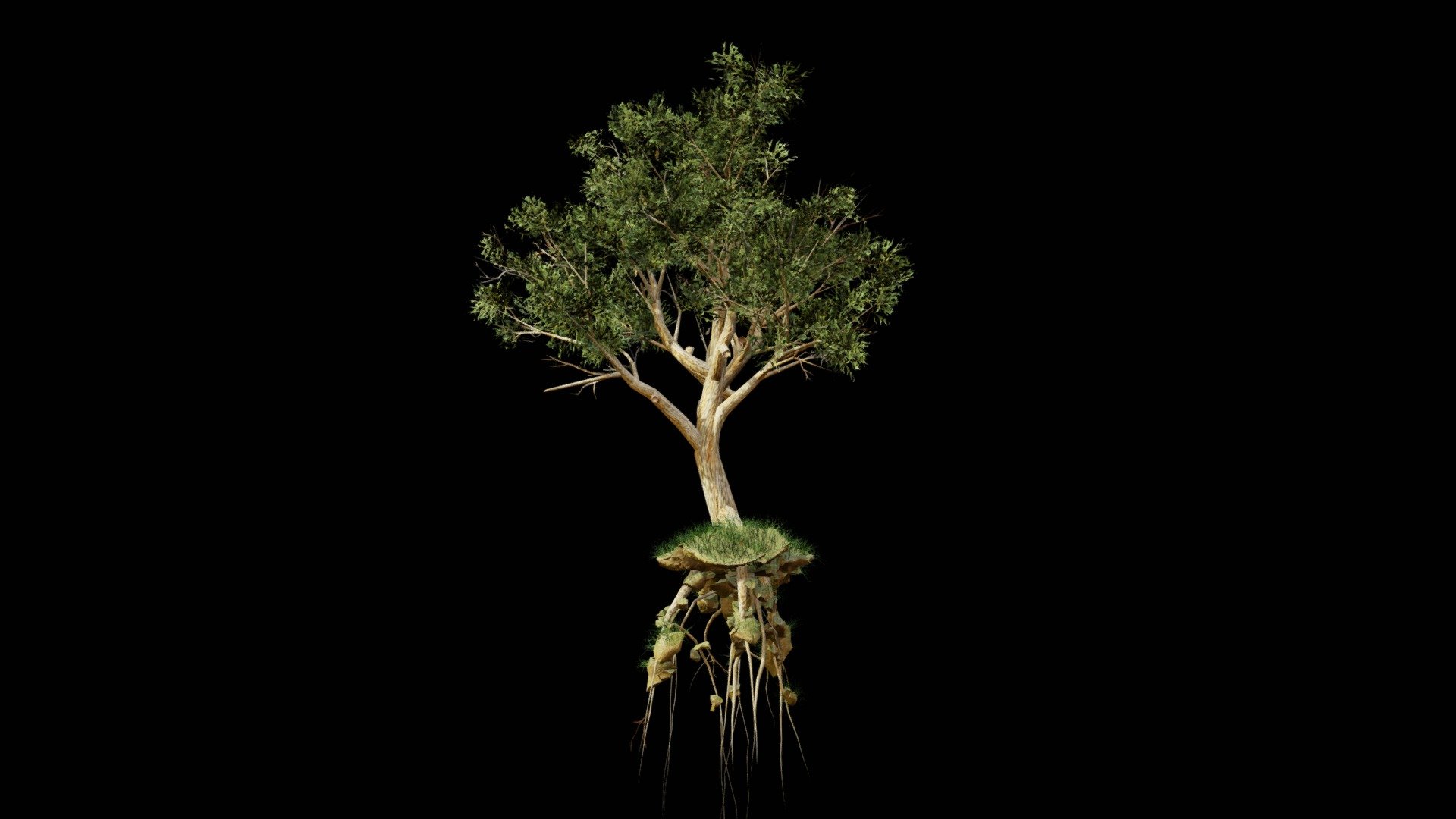 Tree test for client - 3D model by UJJWAL CHAUHAN (@Ujjwal-Chauhan ...