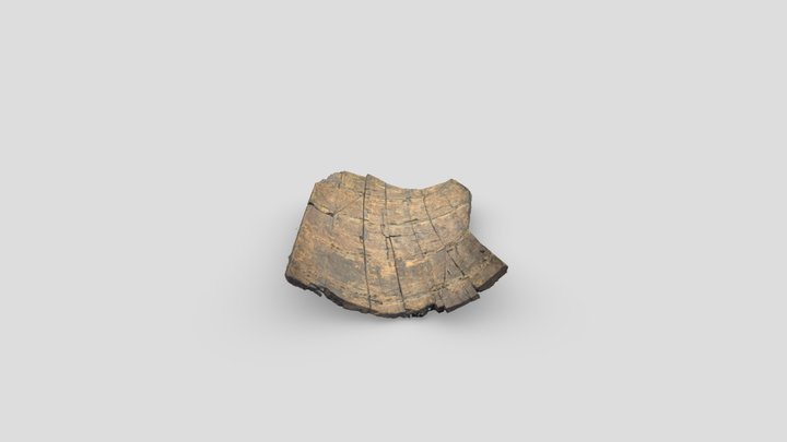 P17 3D Model