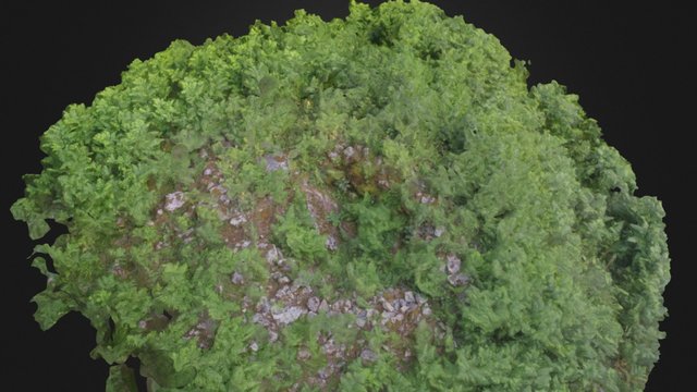 11. Dolmen Aitzpuruko Zabala 3D Model