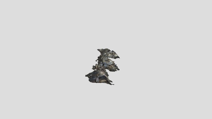 Cueva de maltravieso ( corredor ) 3D Model