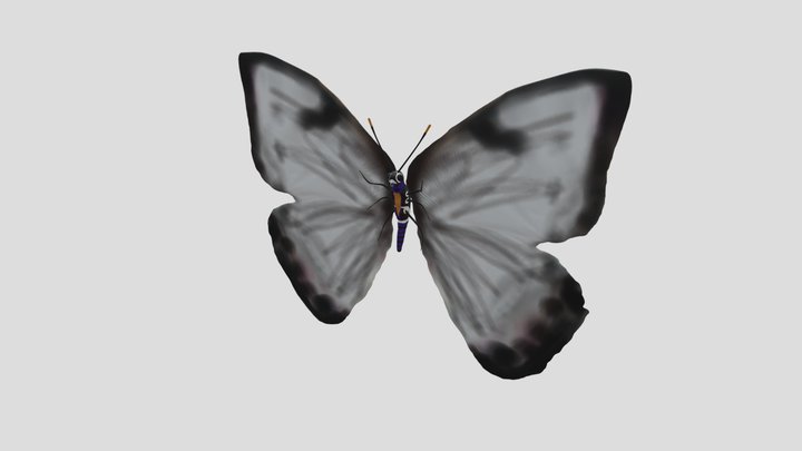 Poison Butterly 3D Model