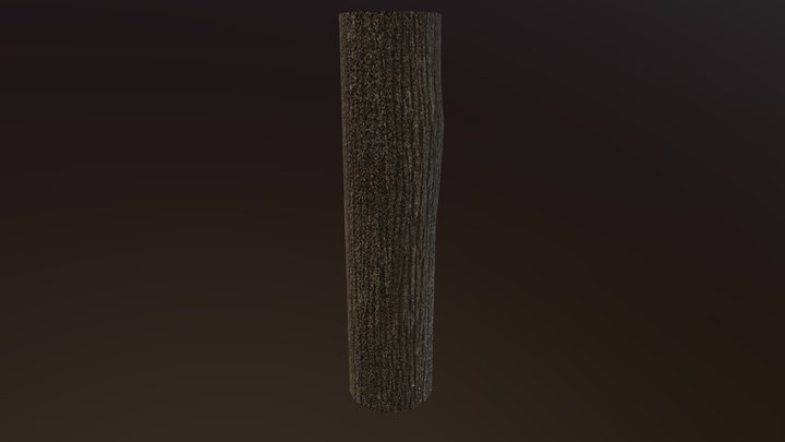 Log