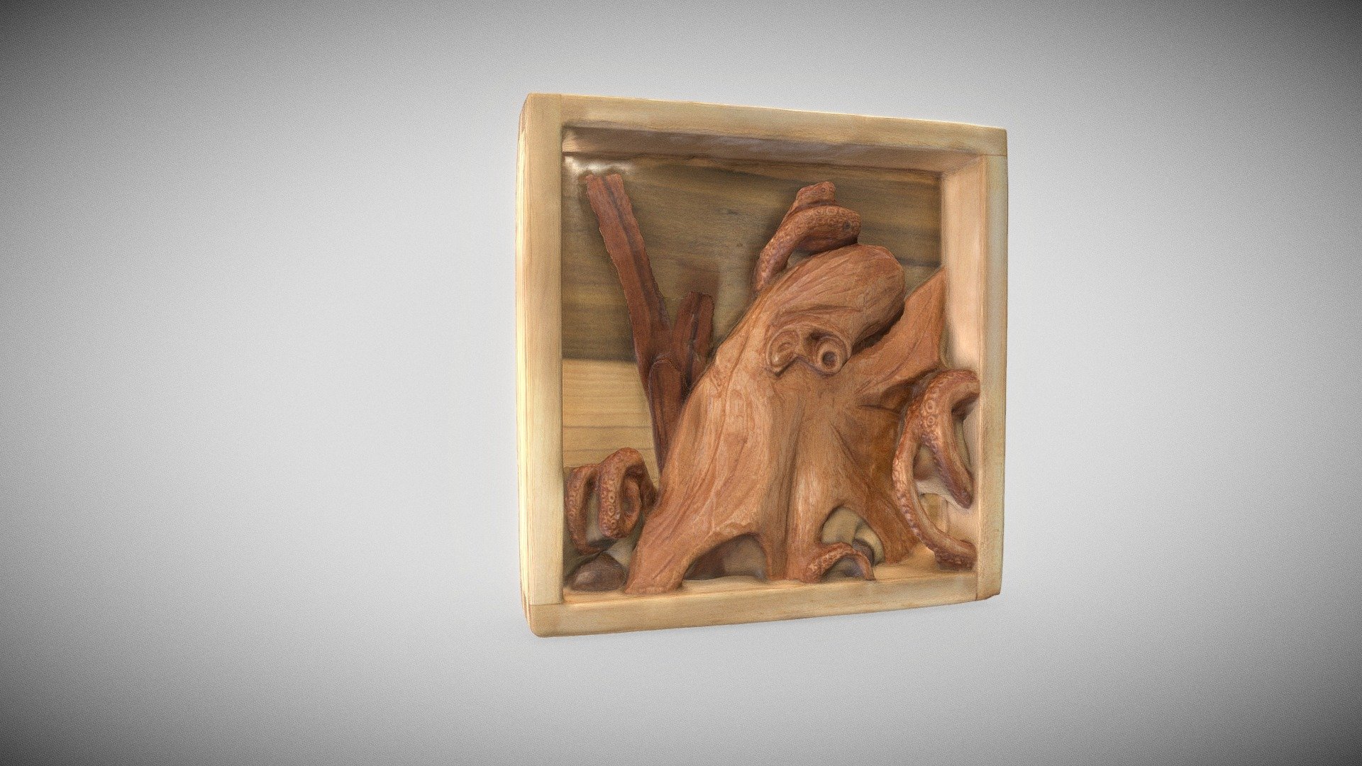 Octopus