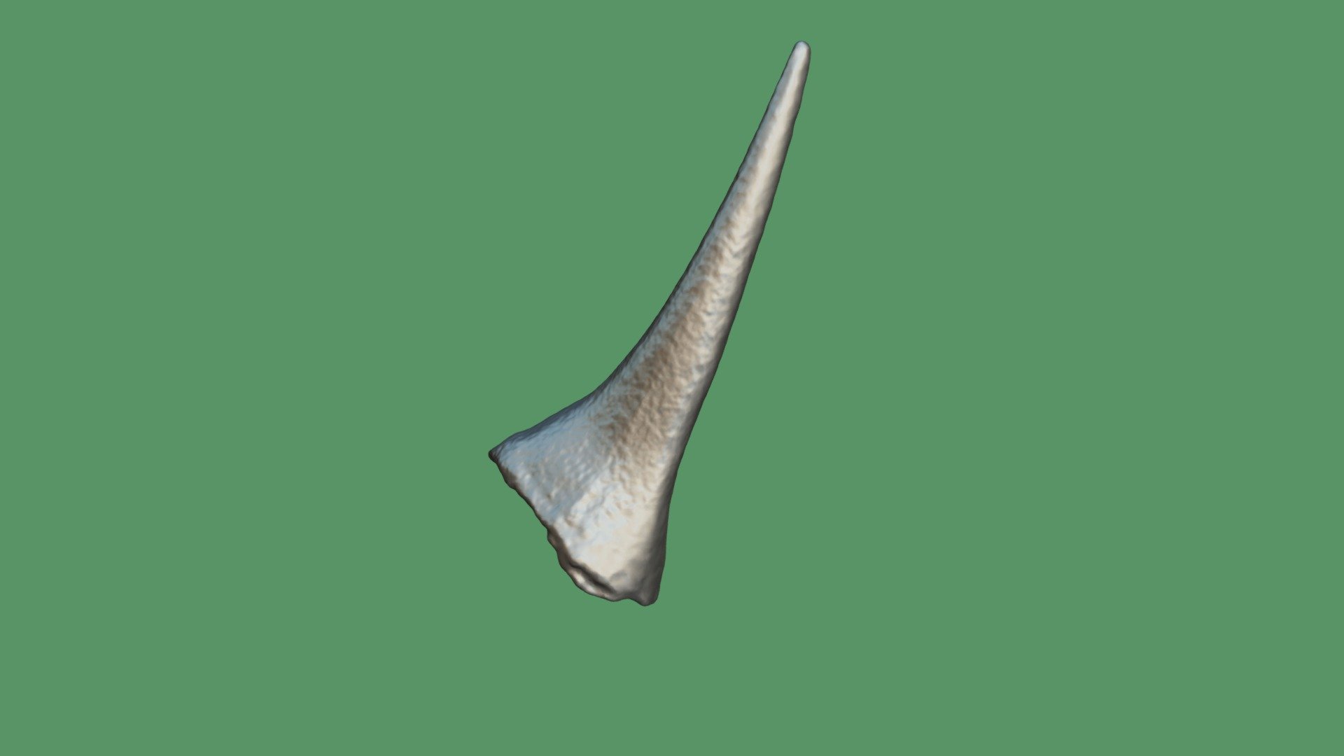 Thorn