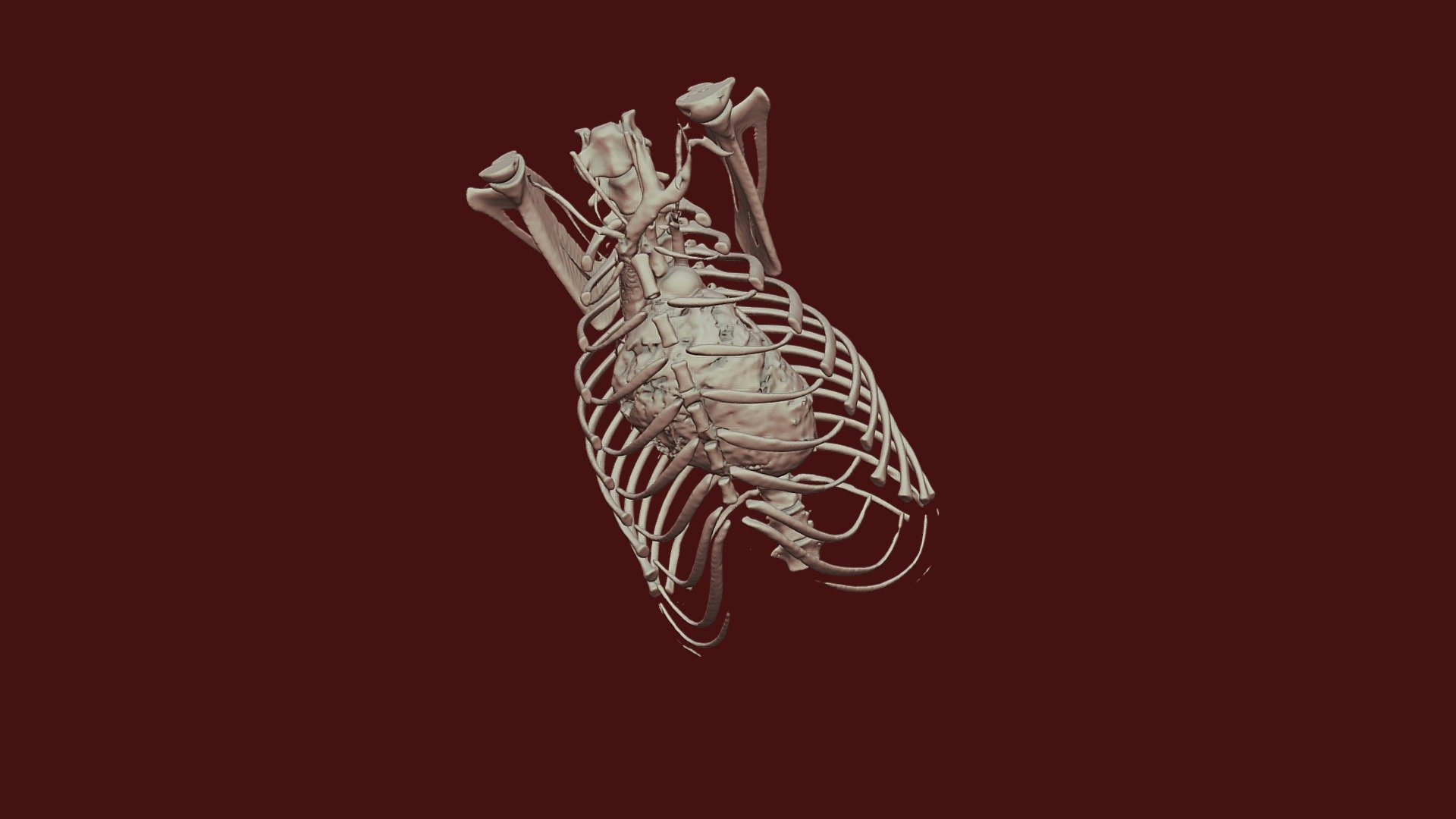 heartand bone