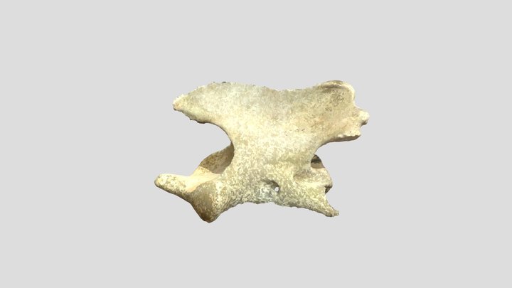 m13 3D Model