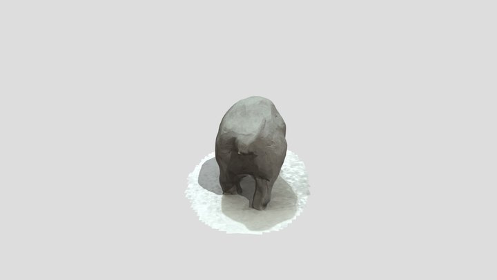 Scultura Cinghiale 3D Model