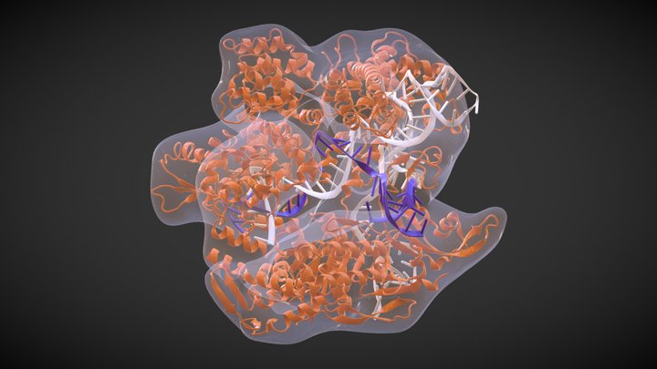 CRISPR-Cas9 3D Model