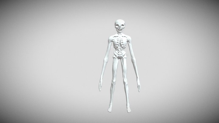 realistic enderman rig 3D Model