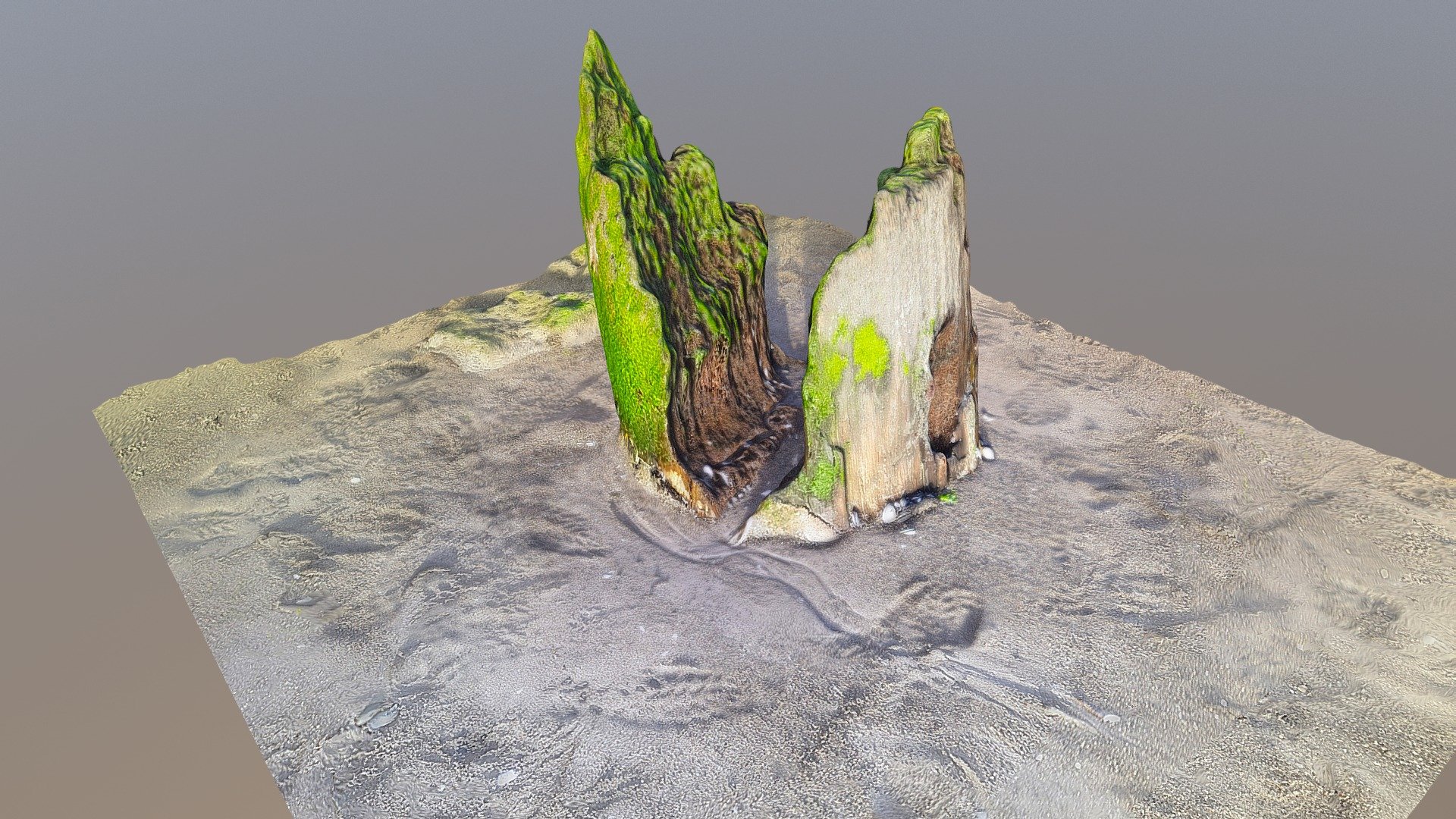 Tocon 2 - 3D model by rpdeao [014cf15] - Sketchfab