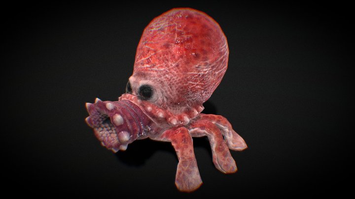 Roctopus, The Rock Shooting Octopus Thing 3D Model