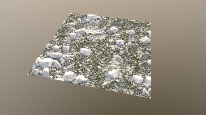 Substance Snowy Grass and Stones 3D Model