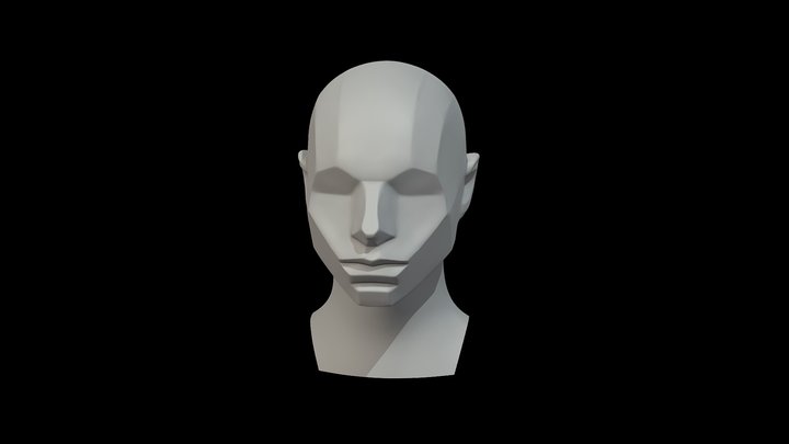 Memorized Head - John Asaro 3D Model