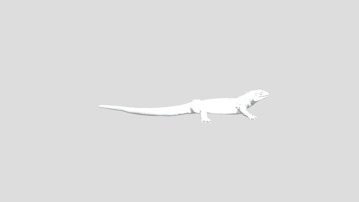 unnamed monitor lizard 3D Model