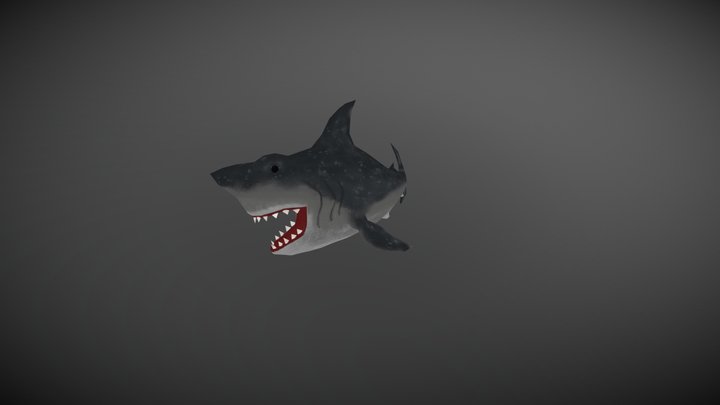 Shark 3D Model