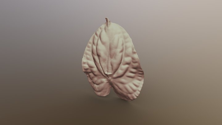 Flower 3D Model