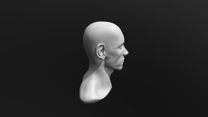 Male_Head_7 3D Model