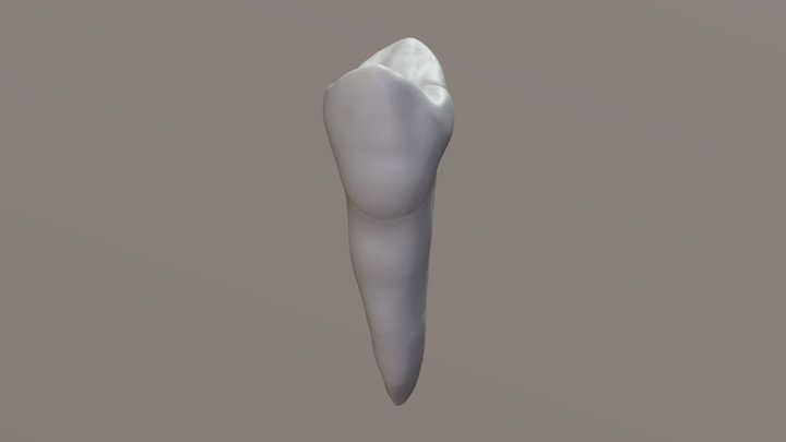 Sketchfab_2017_09_10_23_53_59 3D Model