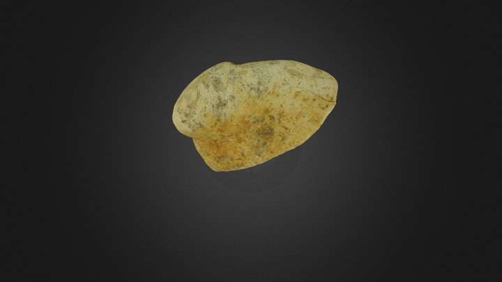Tohoraata-raekohao-bulla-OU22178 3D Model
