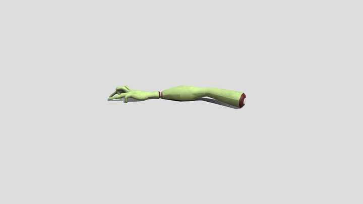 WalkCycle Hand+Arm 3D Model