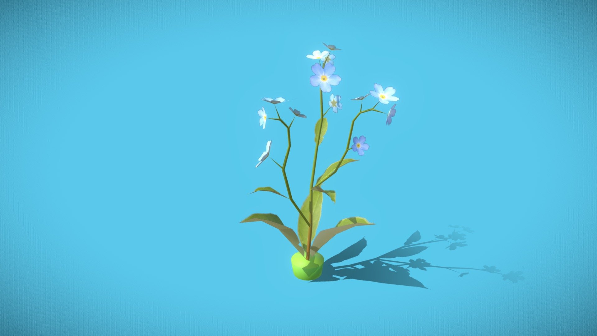 Flower 01a