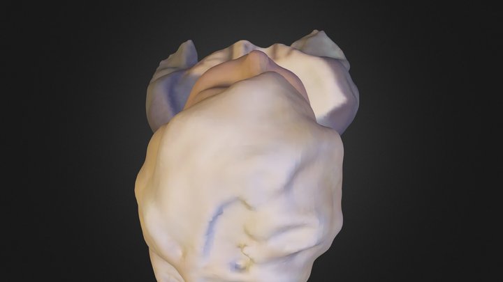 Justin Timberland 3D Model