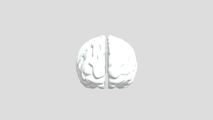 brain-2 3D Model