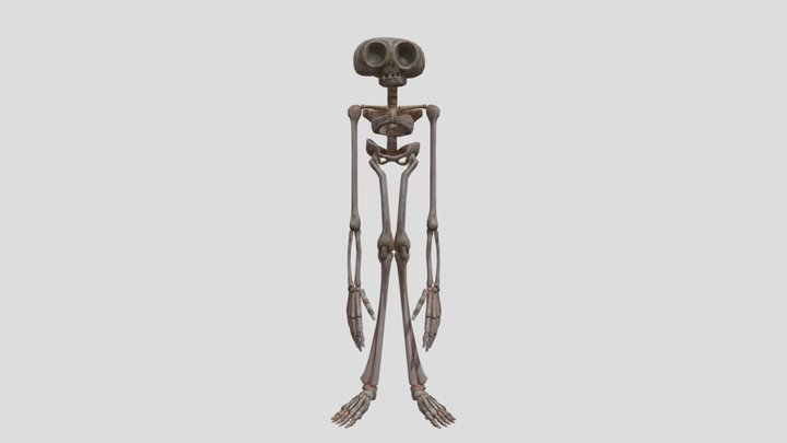 Alien skeleton 3D Model