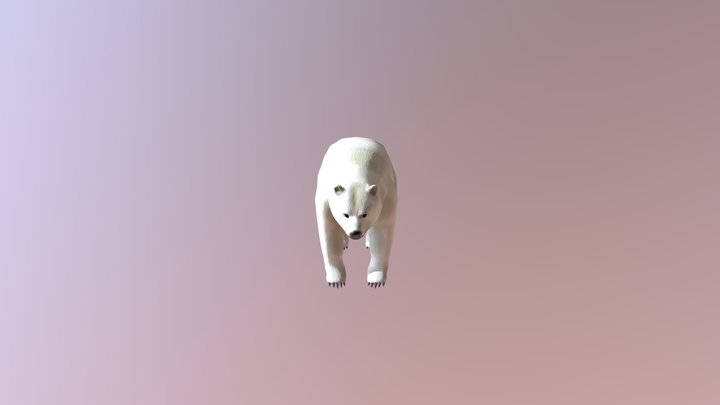 Oso Polar Pablo Verdugo Examen 3D Model