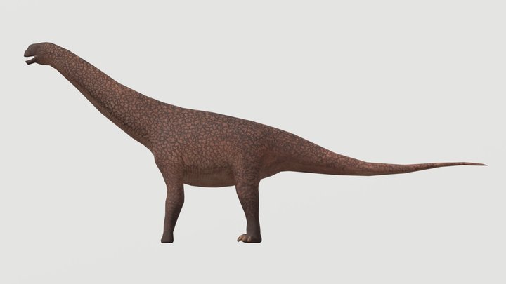 Accurate Camarasaurus grandis – Free 3D Model STL
