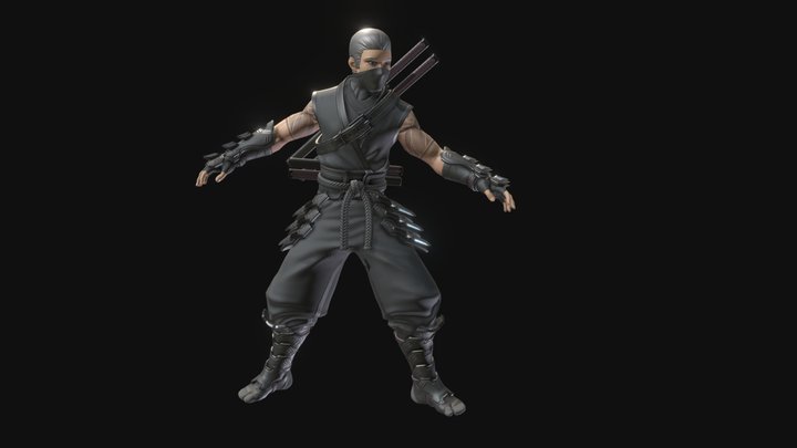 Ninja Animations 3D Model