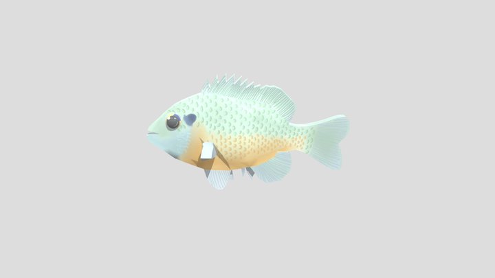 Secondary_Character 3D Model
