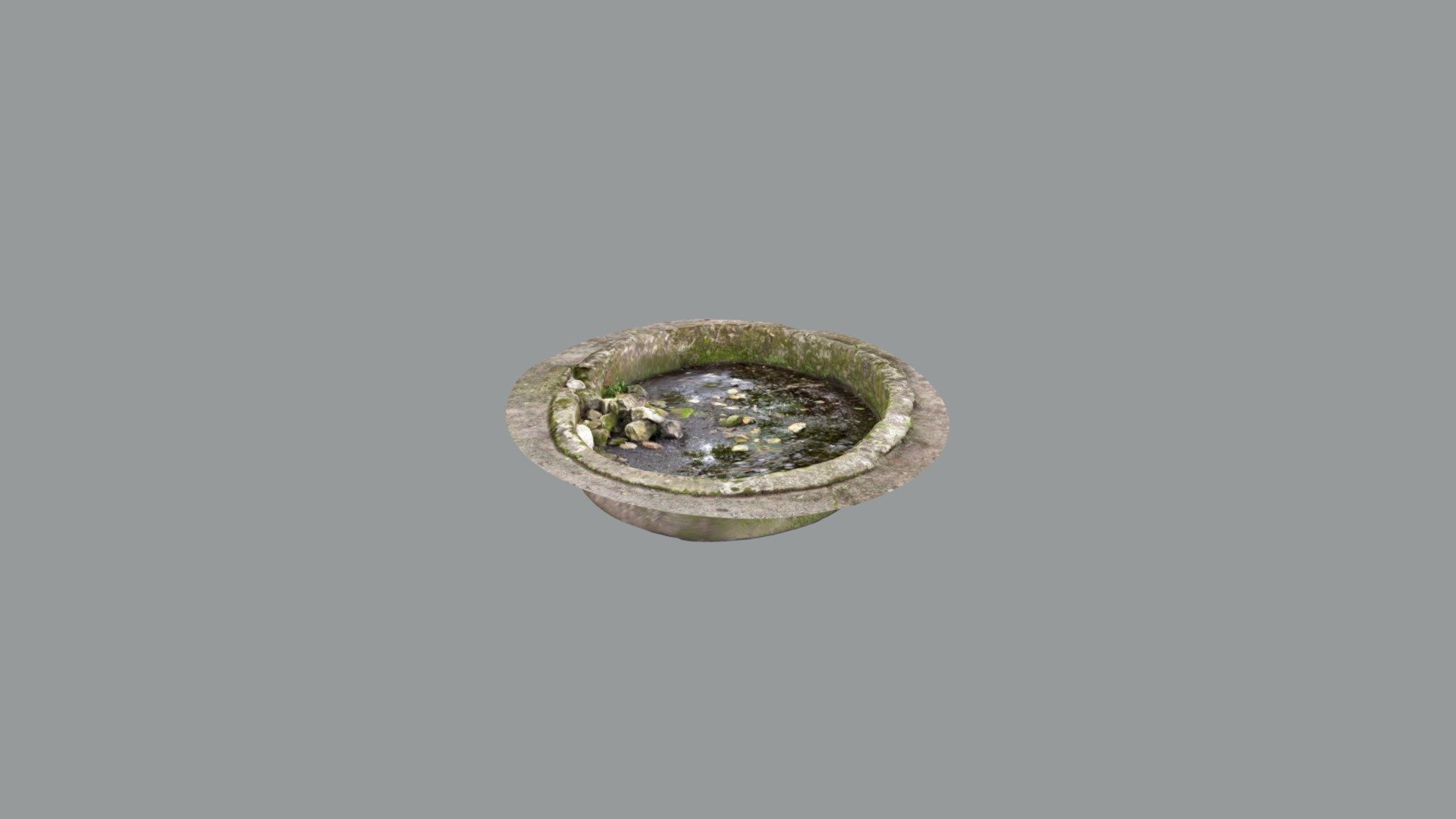 Abandoned pond
