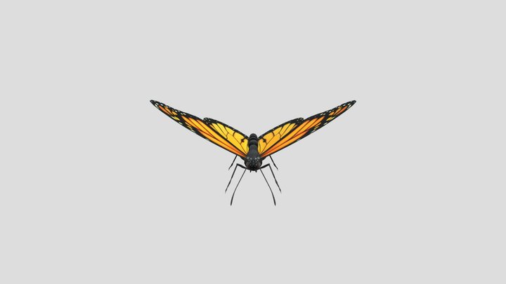 Farfalla Monarca (Monarch Butterfly) 3D Model