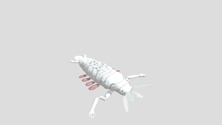 Abyssal Copepod 3D model Sculptgl 3D Model