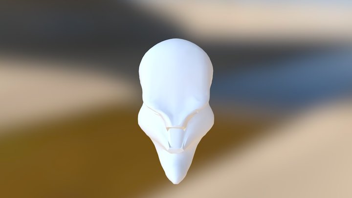 Skull 1 3D Model
