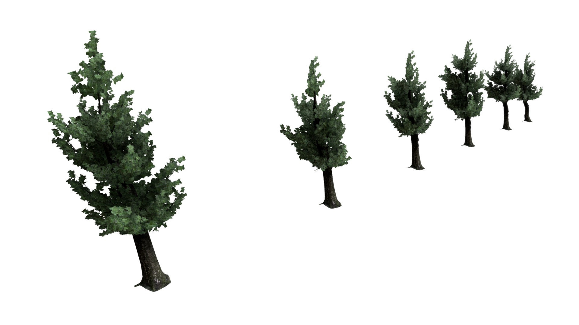3D model Trees (6 Pack) - This is a 3D model of the Trees (6 Pack). The 3D model is about a group of trees.