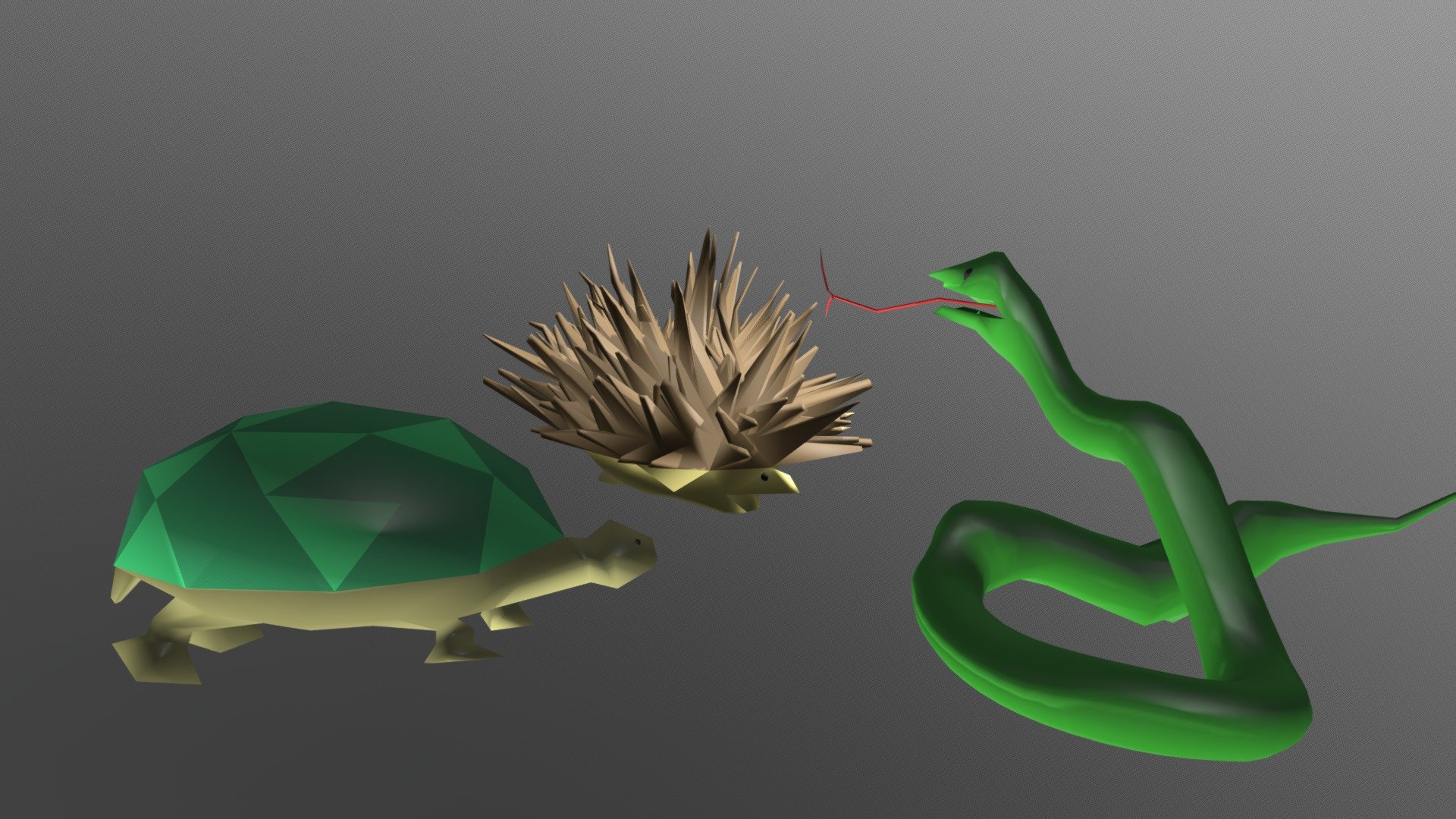 Riccio-serpente-tartaruga